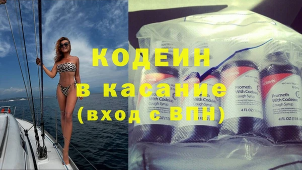 шишки Богородицк